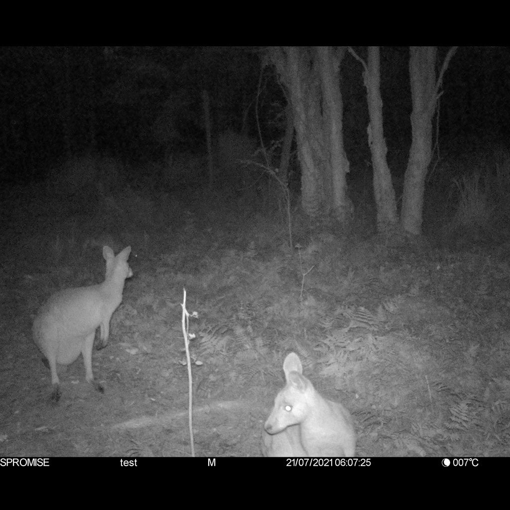 S398 Law Enforcement 4G Apple Airtag Trail Camera